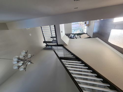 Wild Fox Painting Interior project