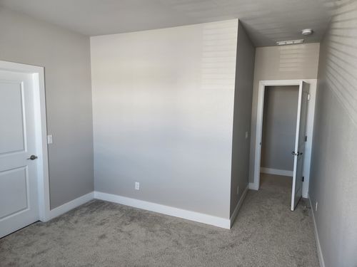 Wild Fox Painting Interior project