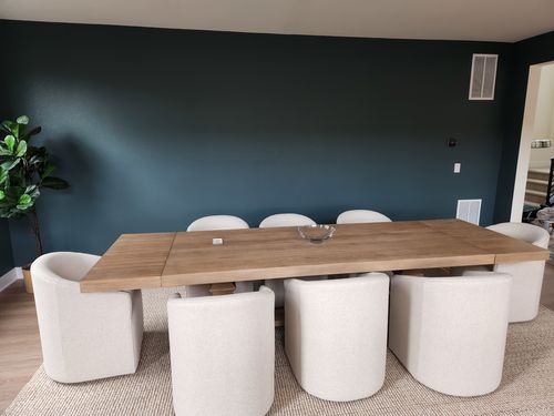 Wild Fox Painting Interior project