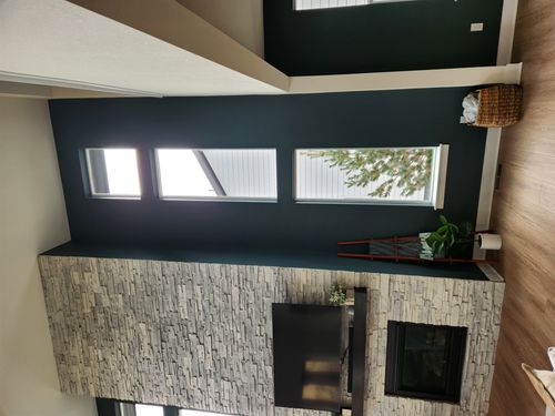 Wild Fox Painting Interior project