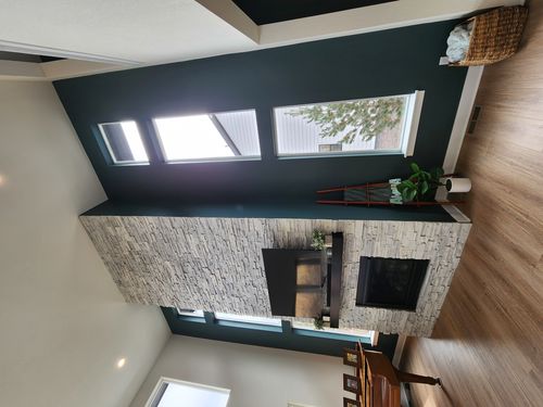 Wild Fox Painting Interior project