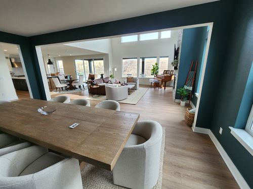 Wild Fox Painting Interior project