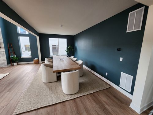 Wild Fox Painting Interior project
