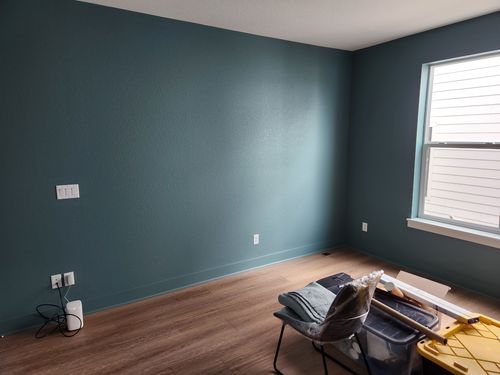 Wild Fox Painting Interior project