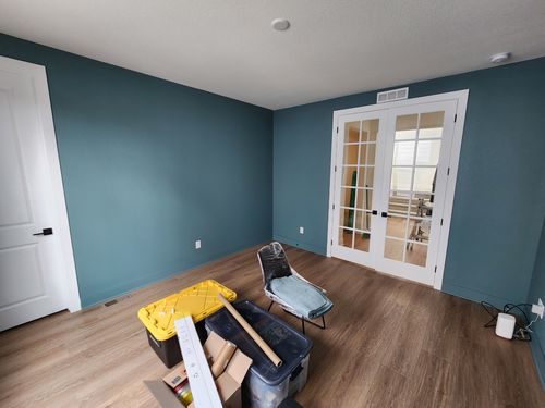 Wild Fox Painting Interior project