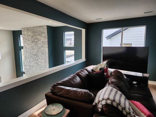 Wild Fox Painting Interior project