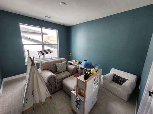 Wild Fox Painting Interior project
