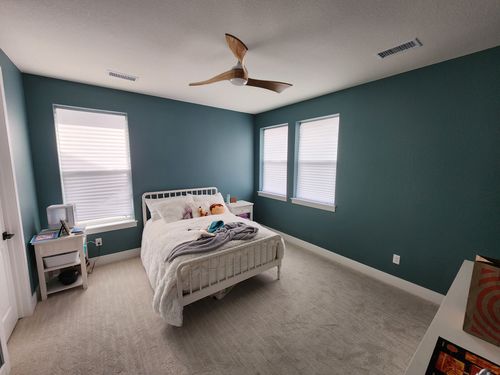 Wild Fox Painting Interior project