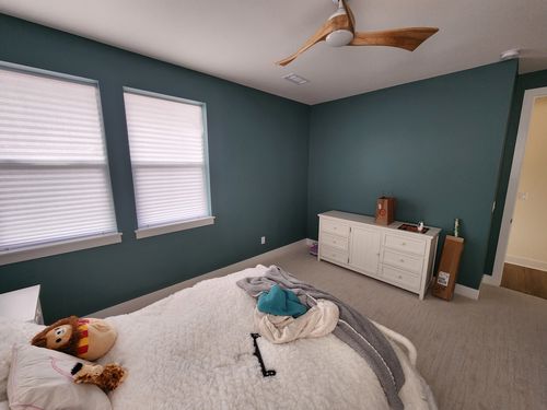 Wild Fox Painting Interior project