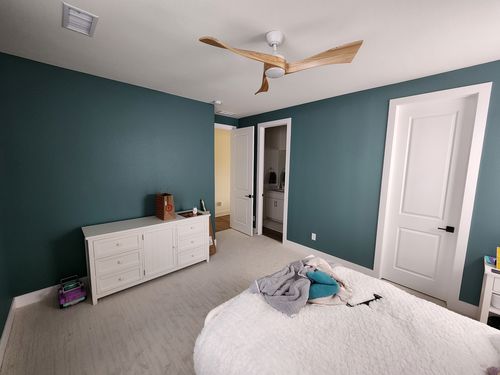 Wild Fox Painting Interior project