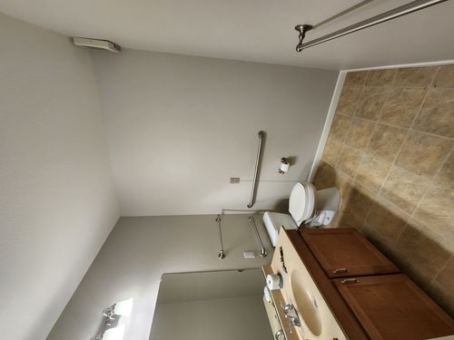 Wild Fox Painting Interior project