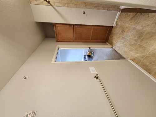 Wild Fox Painting Interior project