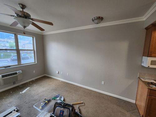 Wild Fox Painting Interior project