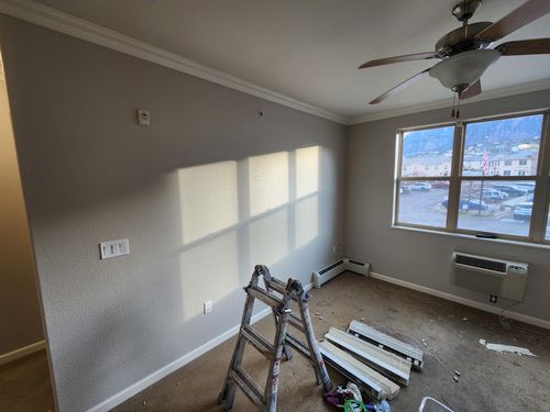 Wild Fox Painting Interior project