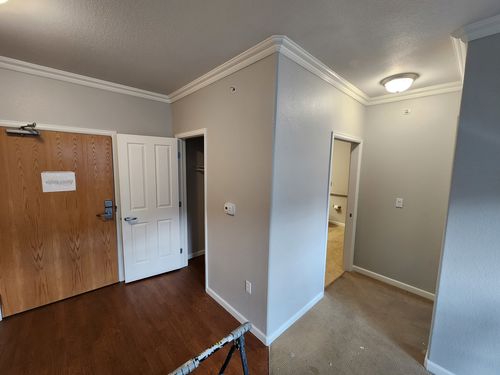 Wild Fox Painting Interior project