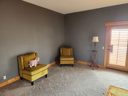 Wild Fox Painting Interior project