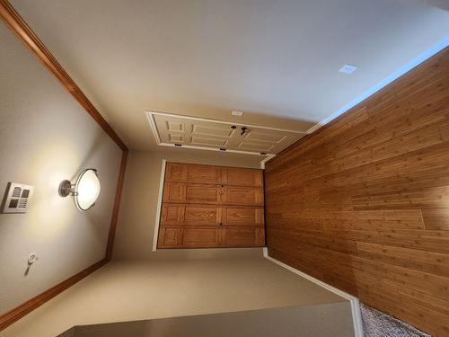 Wild Fox Painting Interior project