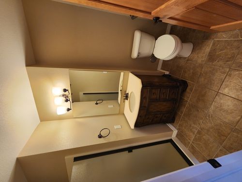 Wild Fox Painting Interior project