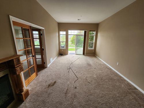Wild Fox Painting Interior project