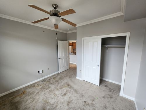 Wild Fox Painting Interior project