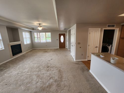 Wild Fox Painting Interior project