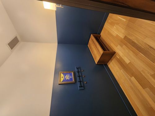 Wild Fox Painting Interior project