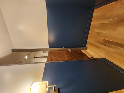 Wild Fox Painting Interior project