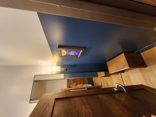 Wild Fox Painting Interior project