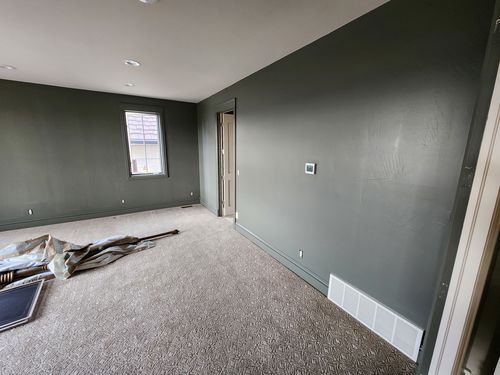 Wild Fox Painting Interior project
