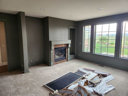 Wild Fox Painting Interior project