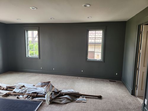Wild Fox Painting Interior project