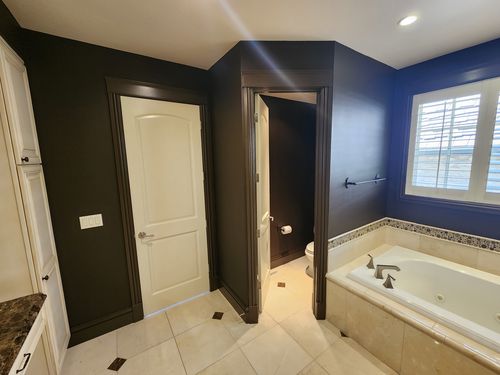 Wild Fox Painting Interior project