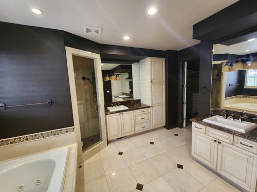Wild Fox Painting Interior project