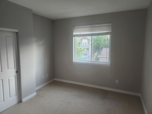 Wild Fox Painting Interior project