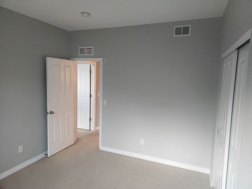 Wild Fox Painting Interior project