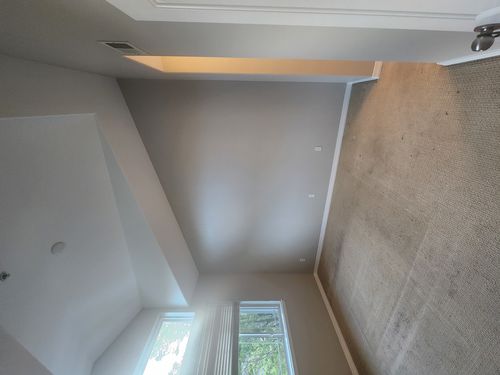 Wild Fox Painting Interior project