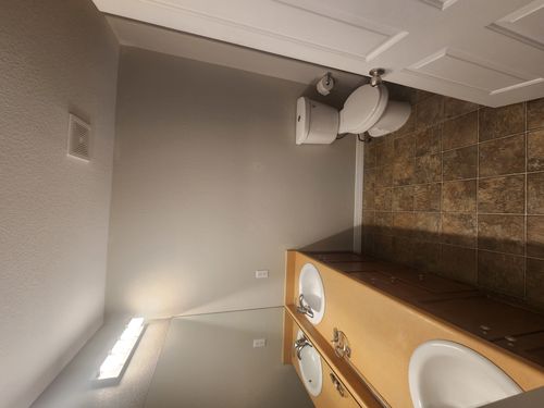 Wild Fox Painting Interior project