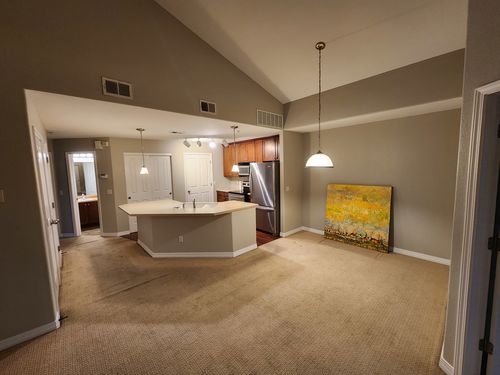 Wild Fox Painting Interior project