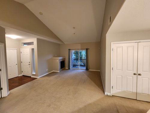 Wild Fox Painting Interior project