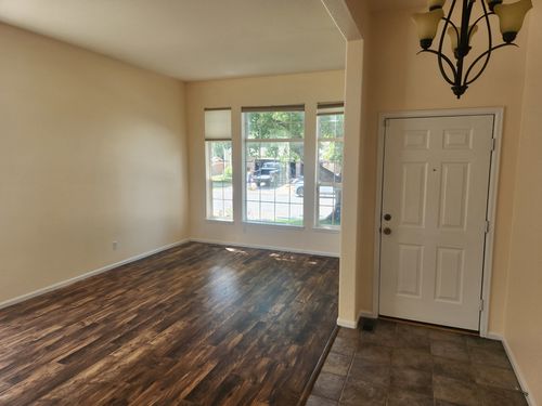 Wild Fox Painting Interior project