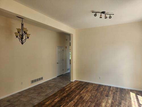 Wild Fox Painting Interior project