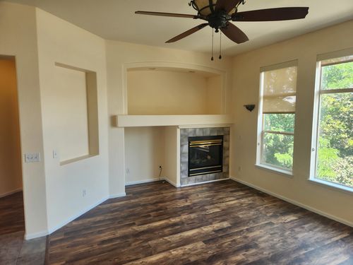 Wild Fox Painting Interior project