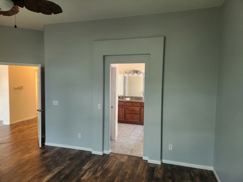 Wild Fox Painting Interior project