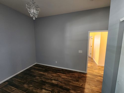 Wild Fox Painting Interior project