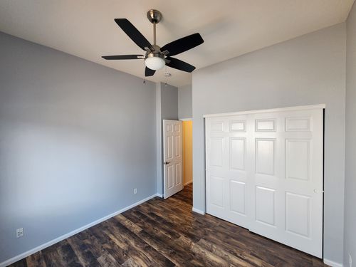 Wild Fox Painting Interior project
