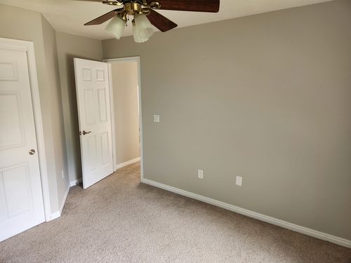 Wild Fox Painting Interior project