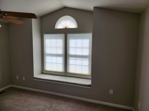 Wild Fox Painting Interior project