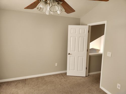 Wild Fox Painting Interior project