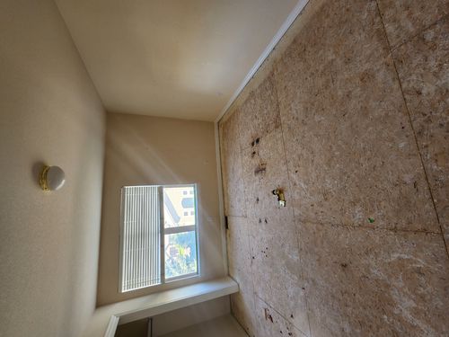 Wild Fox Painting Interior project
