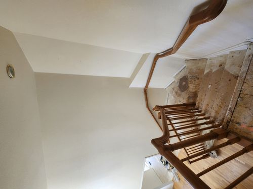 Wild Fox Painting Interior project